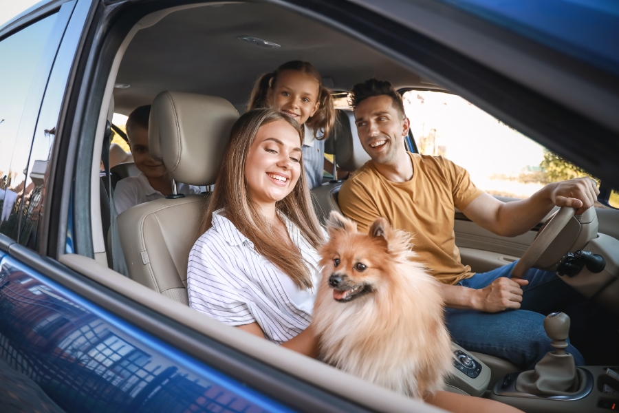 Edmonton Car Rental for City Highlights and Scenic Drives