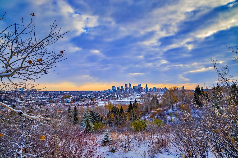 Plan the Perfect Christmas Road Trip in Calgary with This Essential Guide