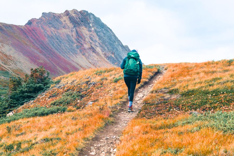 The Best Outdoor Activities to Enjoy in Calgary’s Beautiful Wilderness