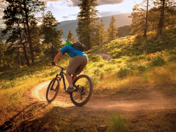The Best Outdoor Activities to Enjoy in Calgary’s Beautiful Wilderness